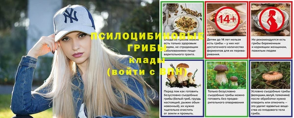мет Абаза