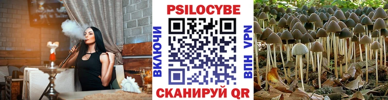 Галлюциногенные грибы Magic Shrooms  Власиха 
